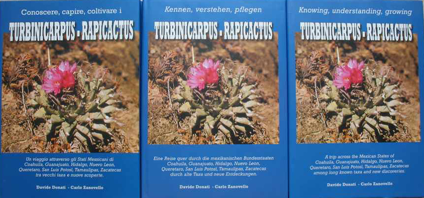 Turbinicarpus Rapicactus